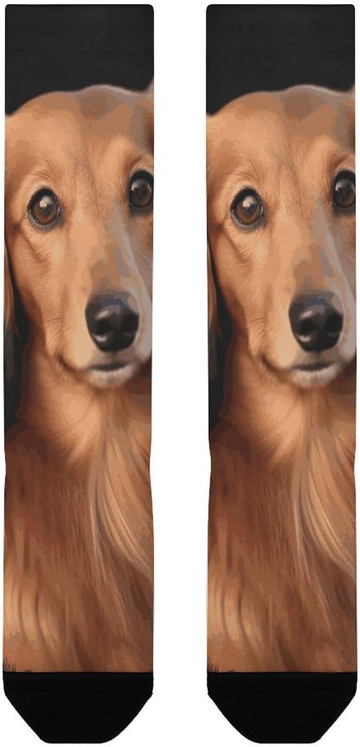 Knee High Socks Dachshund Dog Long Tube Boot Seamless Toe