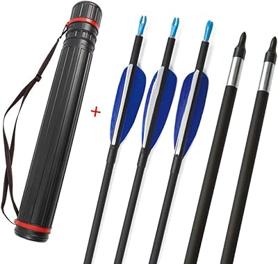 ZSHJG 12 Pieces 31 Inch Archery Carbon Arrow Hunting Practice Arrow Spine 700 Target Arrow+ Arrow Quiver for Shooting (Arrow + Quiver)