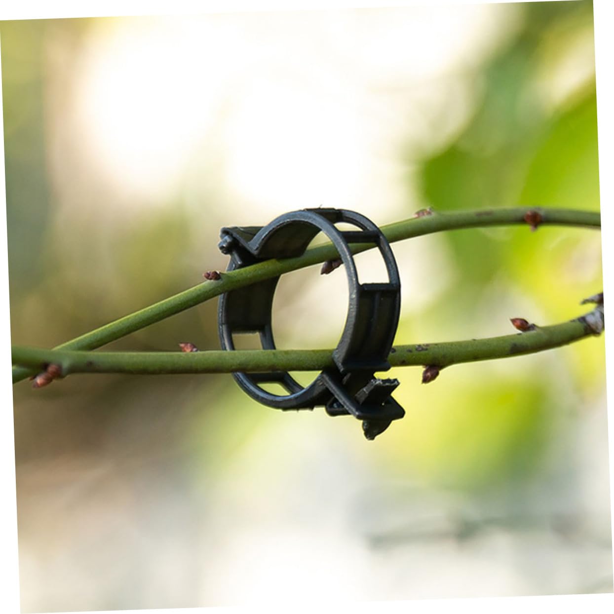 Mipcase 500stücke Pflanzenclips Für Tomaten Und Kletterpflanzen Flexible Pflanzenhalter Unterstützung Von Blumen Und Ranken Für Gartenliebhaber