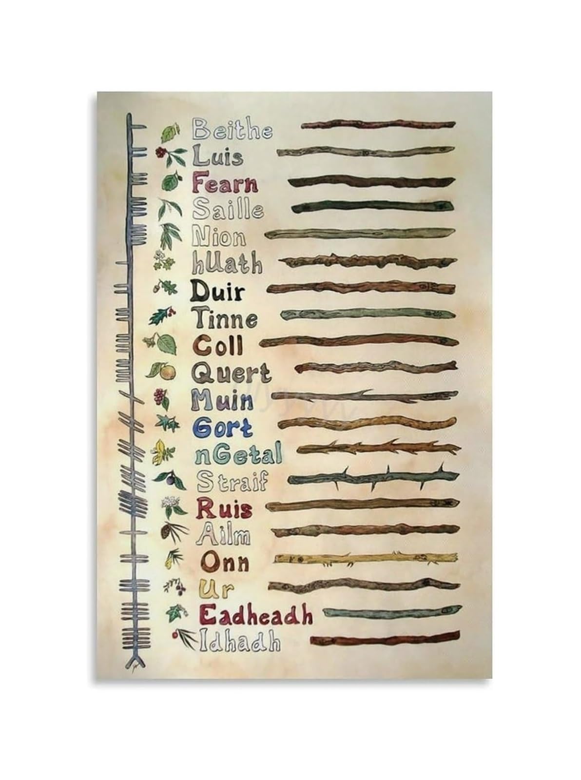 IDGTTLDF Celtic Mysteries Poster Ogham Alphabet for Divination, and Connecting with Tree Wisdom(Framed,08x12inch(20x30cm))