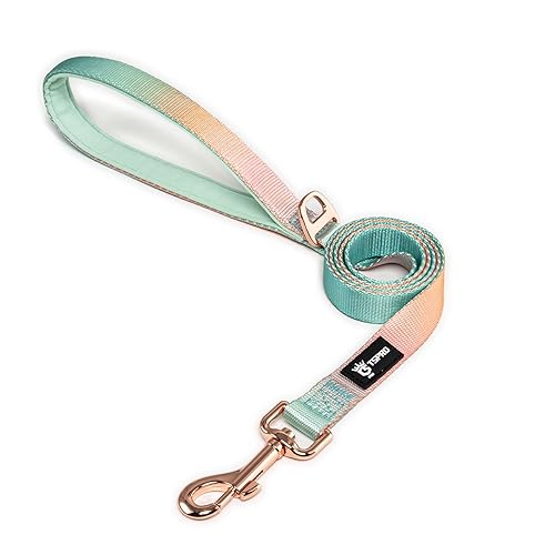 TSPRO Lightweight Dog Leash, Gradient Color Dog Leash, Padded Handle, Durable Dog Leash, Quick Release Metal Buckle, for Small to Medium Dogs Walking (Yellow-Green Gradient)