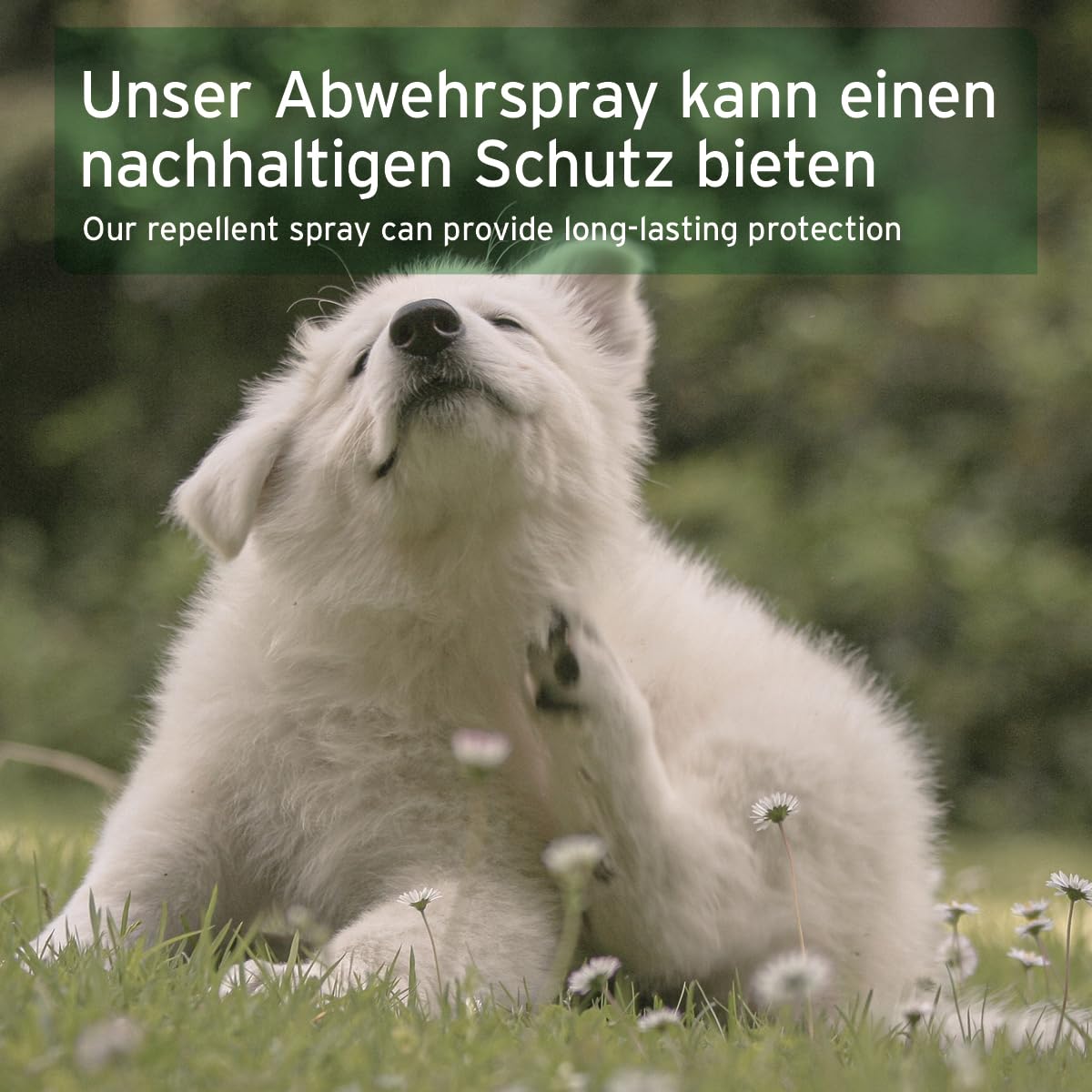AniForte Grasmilben-EX Spray 250ml - Grasmilbenspray für Hunde, effektive & langzeitige Abwehr gegen Grasmilben & Parasiten, beruhigt gereizte Haut & lindert Juckreiz