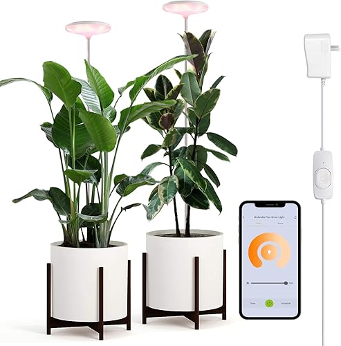 J&C Paraguas WiFi Plus luz de crecimiento, luces LED inteligentes de crecimiento compatibles con Alexa, altura ajustable de 6 pies, 6 niveles de