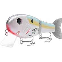 BASSROCK Topwater Fishing Lures for Bass Pike Salmon Floating Swimbait Jointed Crankbait Freshwater Saltwater 4.9in/1.76oz RK1001