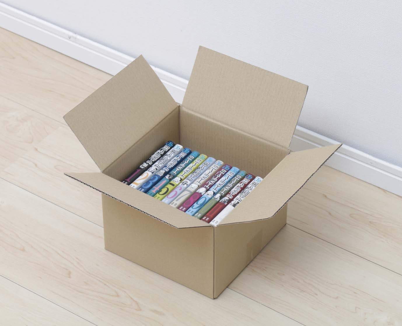 Amazon | アイリスオーヤマ ダンボール 60サイズ (22×22×16cm) 【20枚