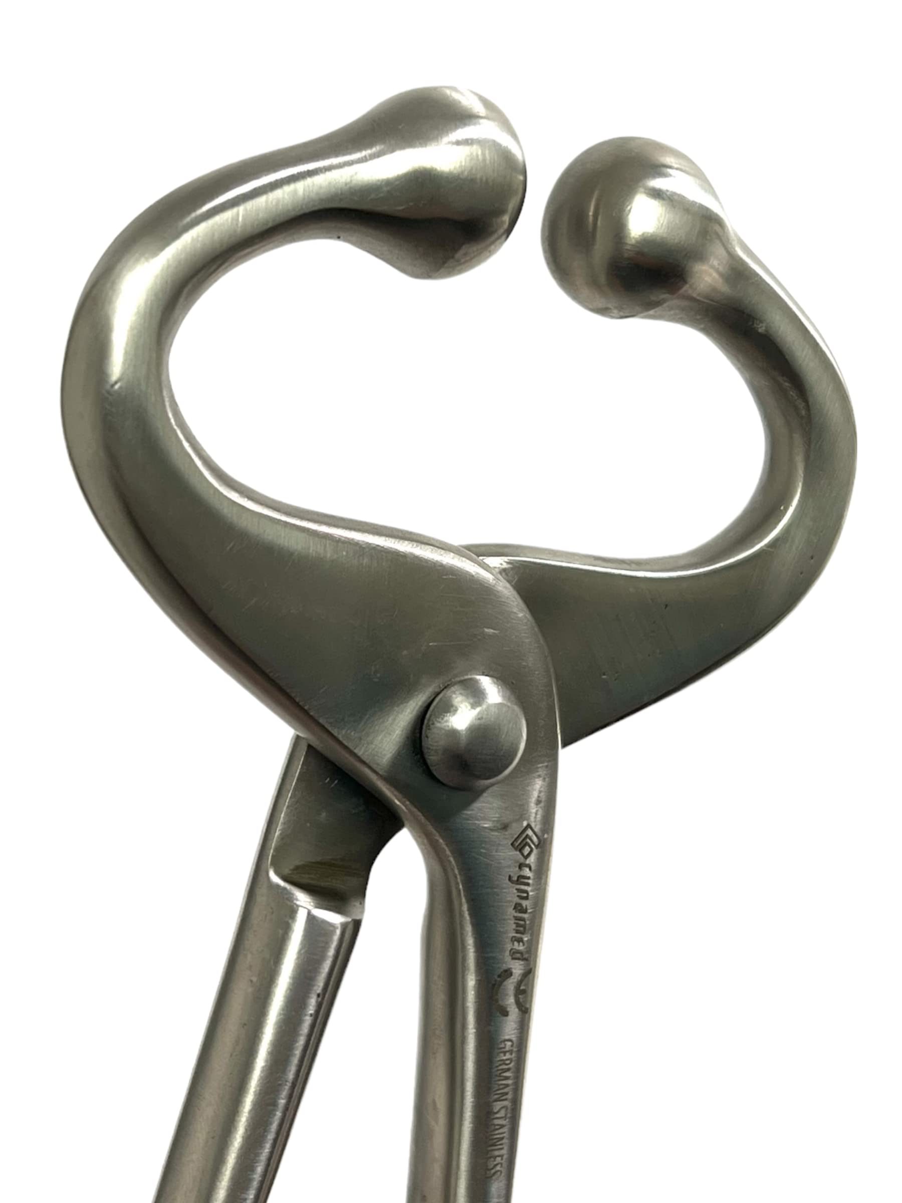 Cow Signals セット Cow Signals セット Cow SIGNALS From calf to heifer乳牛の育成