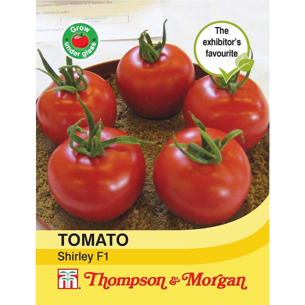 Thompson & Morgan - Vegetables - Tomato Shirley F1 Hybrid - 15 Seed
