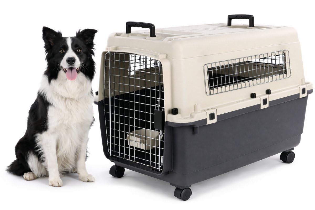transportin Gato - Flamingo Fomad Gris Oscuro - L 57 x 80 x 59,5 cm - plástico Resistente - Puerta metálica - Cierre de Seguridad - 2 Asas - comedero y Bebedero extraíble - 4 Ruedas Desmontables