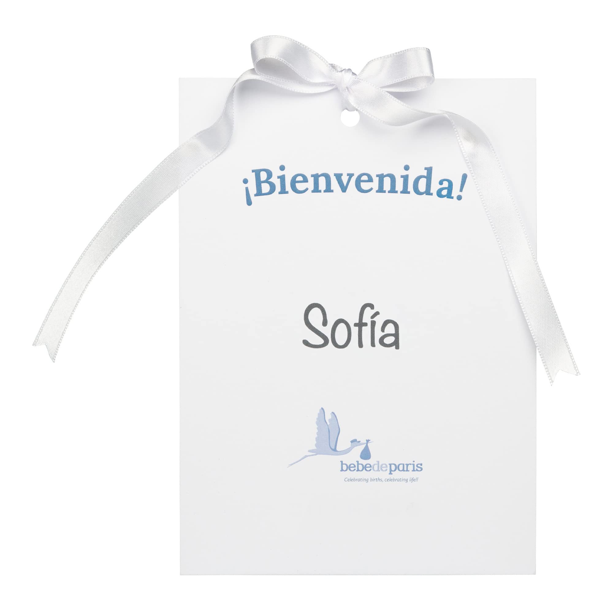 BebeDeParis Gâteau Couches Chic Coffret Cadeau Bébé Bouquet de Naissance Rose