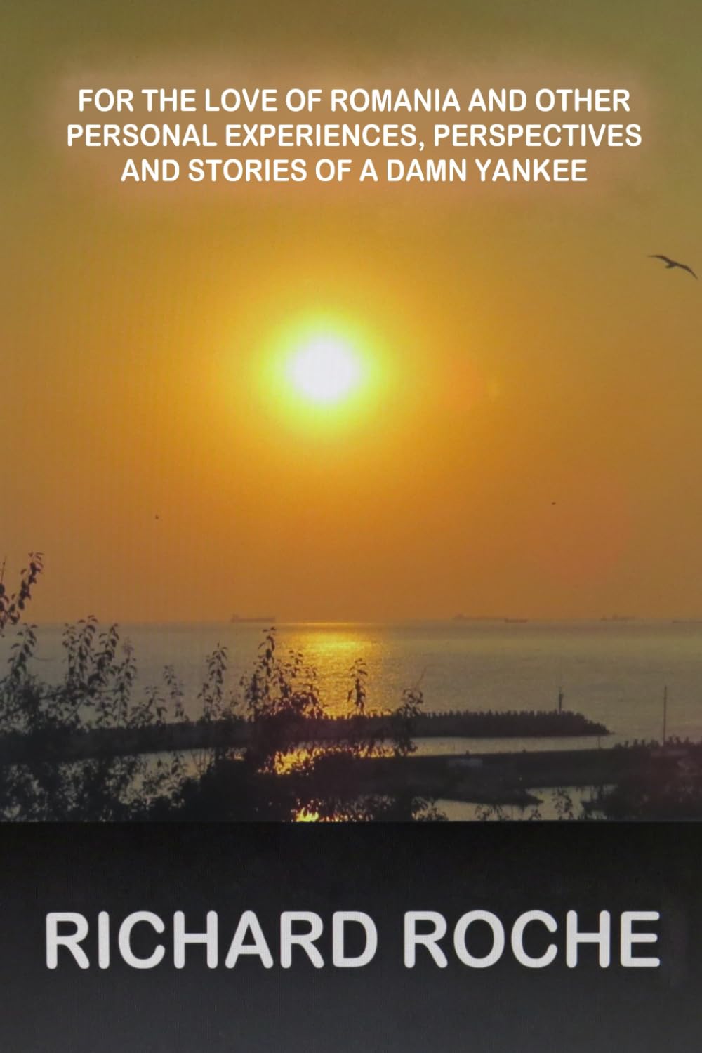 For the Love of Romania and other Personal Experiences, Perspectives and Stories of a Damn Yankee