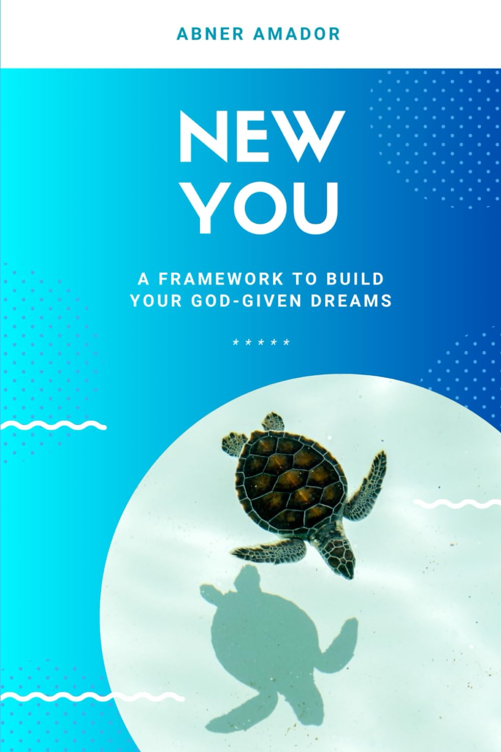 NEW YOU: A Framework to Build You God-given Dreams