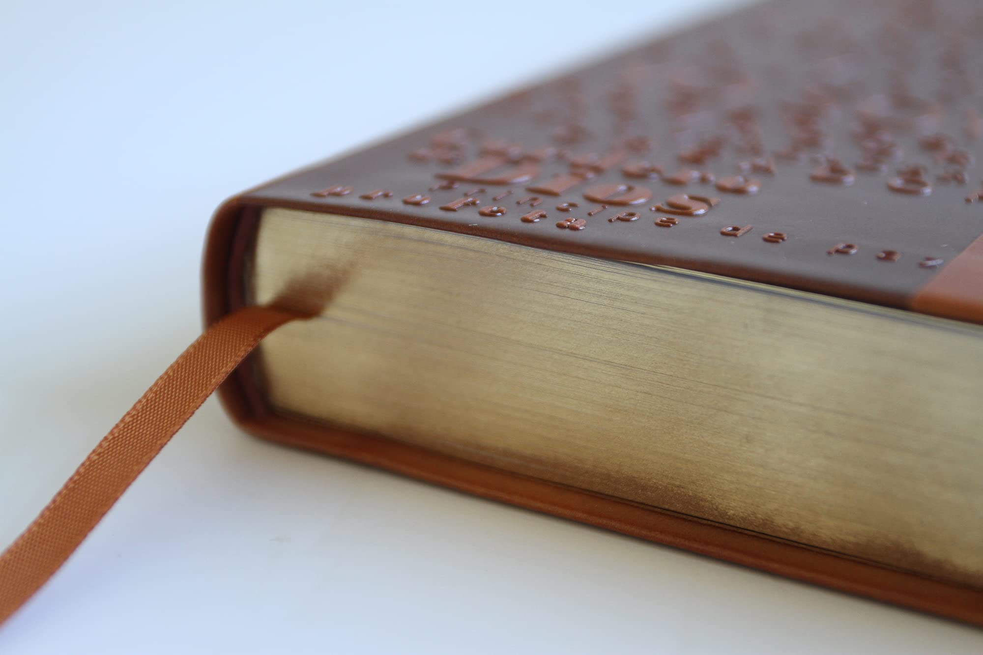 Santa Biblia / Holy Bible: Reina-Valera 1960, canelacon, simil piel, con nombres de Dios / Reina-valera 1960, Brown, Leathersoft With Names of God