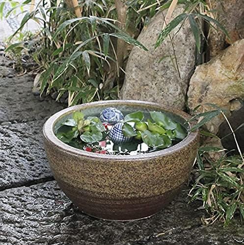 海鼠釉の火鉢 【メダカ鉢、金魚鉢、睡蓮鉢に】１個 Amazon.co.jp: 青海鼠釉 火鉢 瓶掛 手炙り施釉陶 なまこ 幅38cm