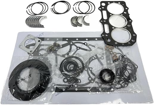 Overhaul Rebuild Kit For Caterpillar Engine CAT C1.1 Engine Rebuild Kit With Cylinder Gaskets Bearings Piston Rings