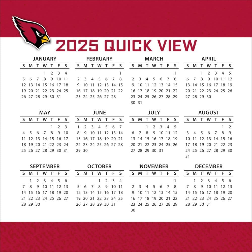 Amazon.com: Turner Sports Arizona Cardinals 2025 Box Calendar