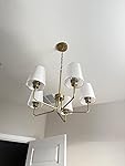 Review Image by Amazon Customer