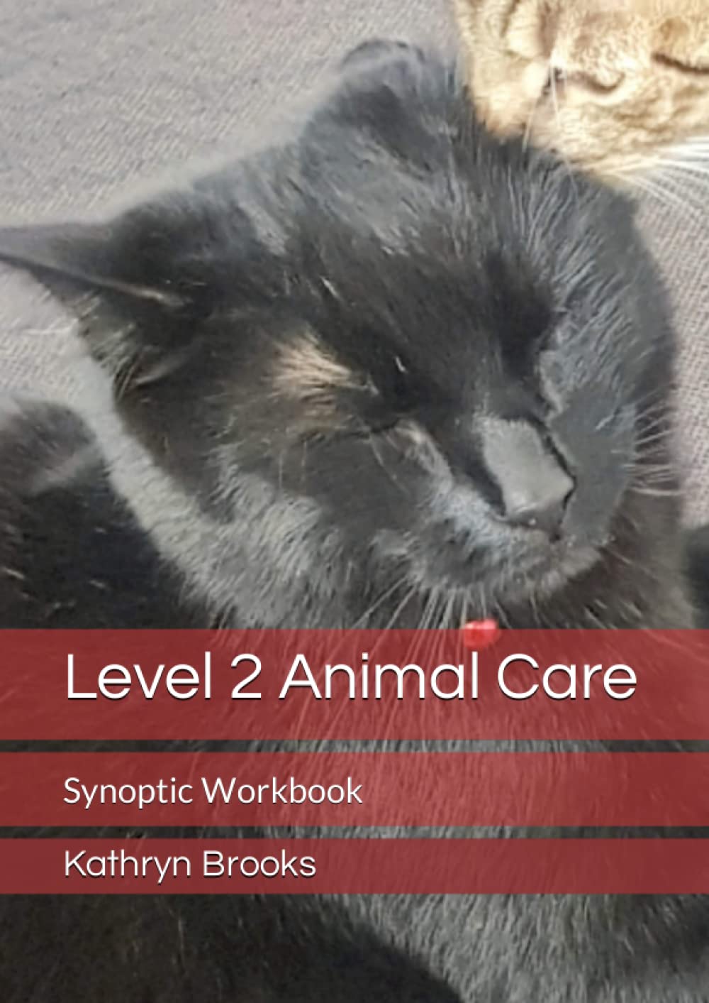 Level 2 Animal Care: Synoptic Workbook