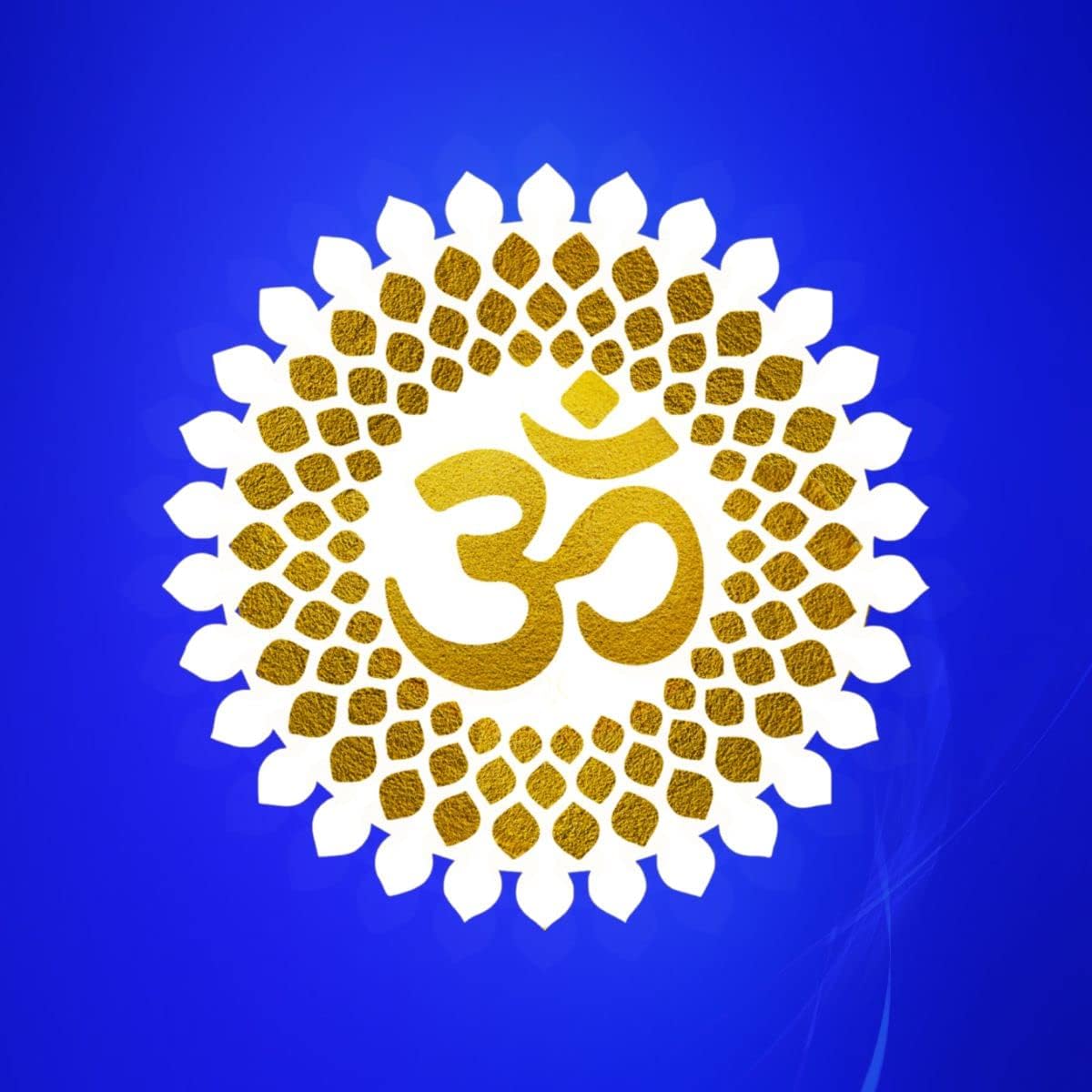 OM Mandala Wall Back lid LED Light Wall Decor A Well-Designed Home Should Tell a Story,Size(12 inch X 12 Inch) Large Size (White) (B0CGXZ9SP8) Amazon Price History, Amazon Price Tracker