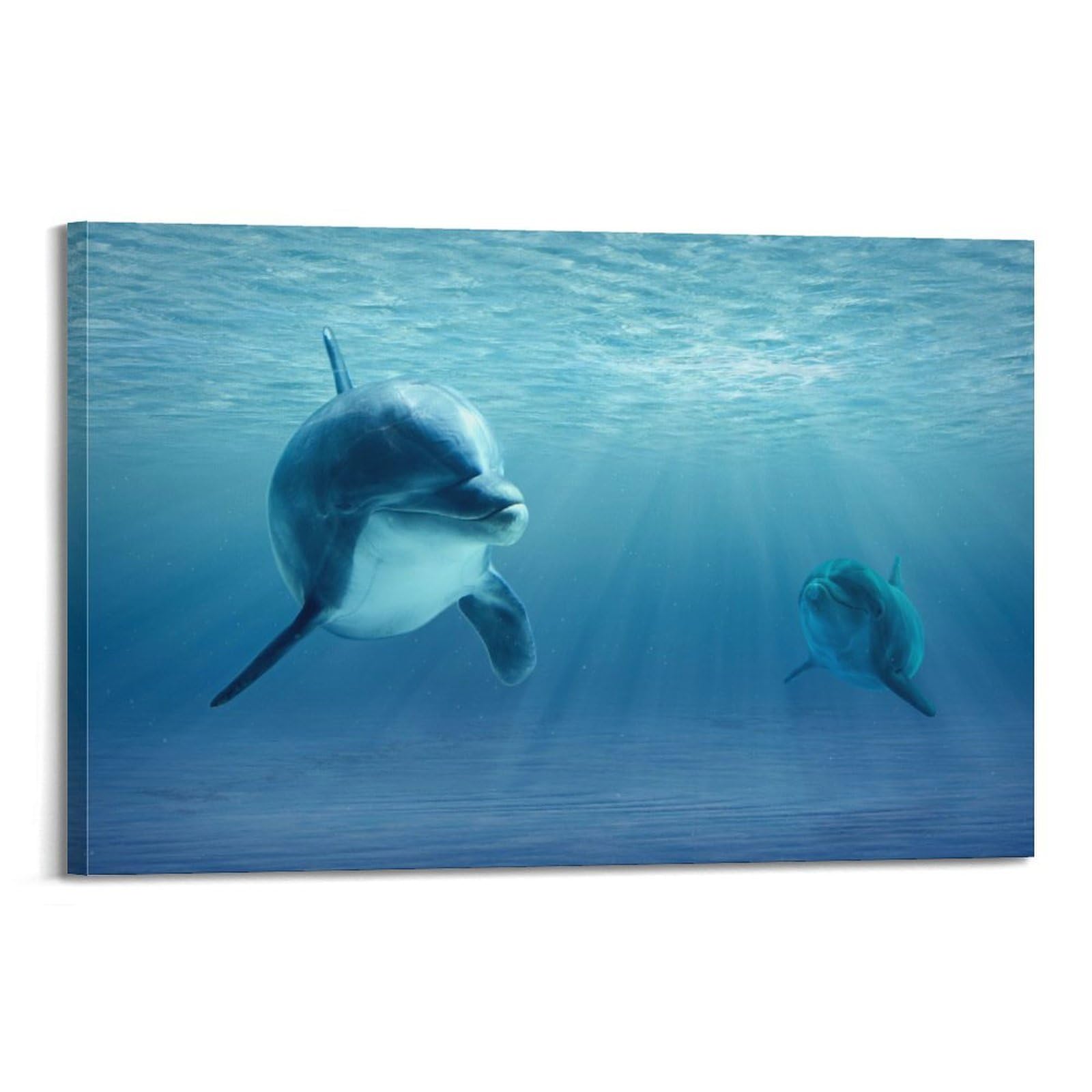 CXHJCA Sea Life Poster Dolphins Playing Poster Decorative Painting Canvas Wall Posters And Art Picture Print Modern Family Bedroom Decor Posters 24x36inch(60x90cm)