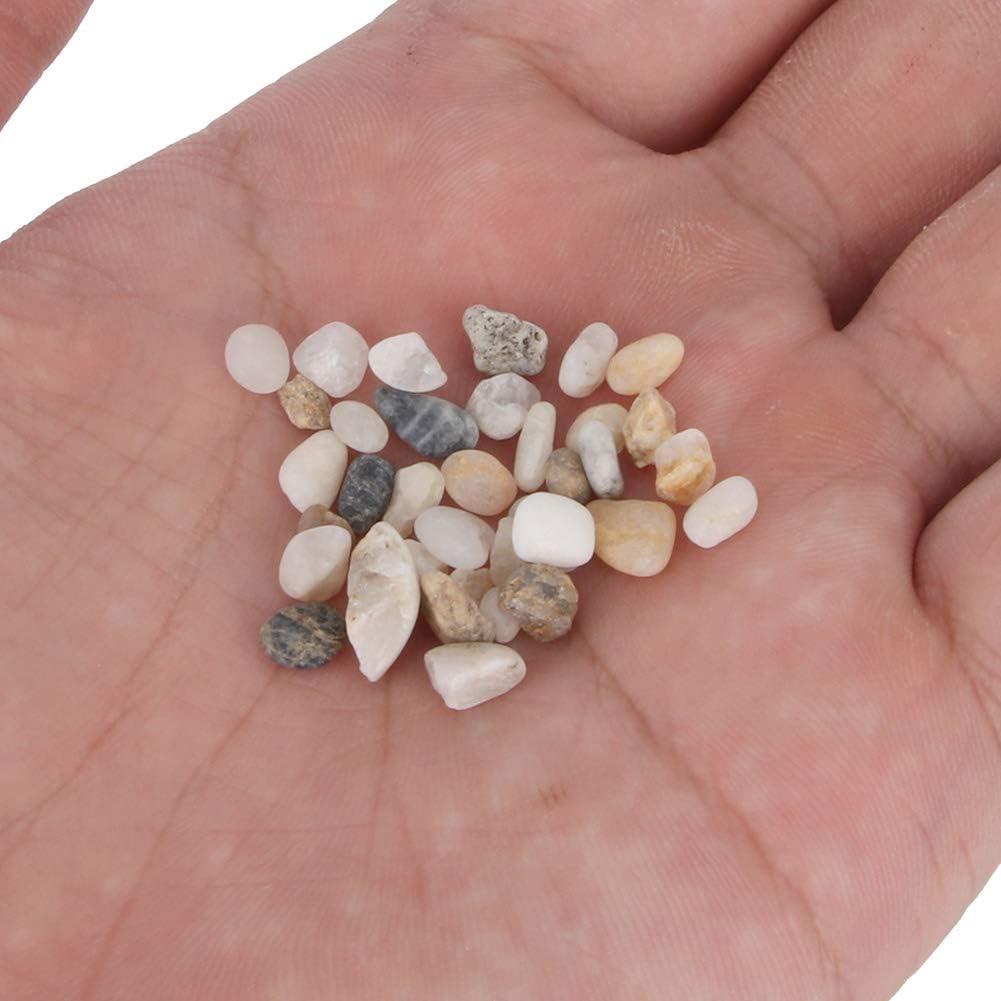 ZJchao Polished River Stones Aquarium Substrate – Safe, Decorative Gravel for Live Plants, Terrariums, Vases & Indoor/Outdoor Landscaping