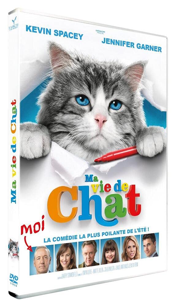 Ma vie de chat