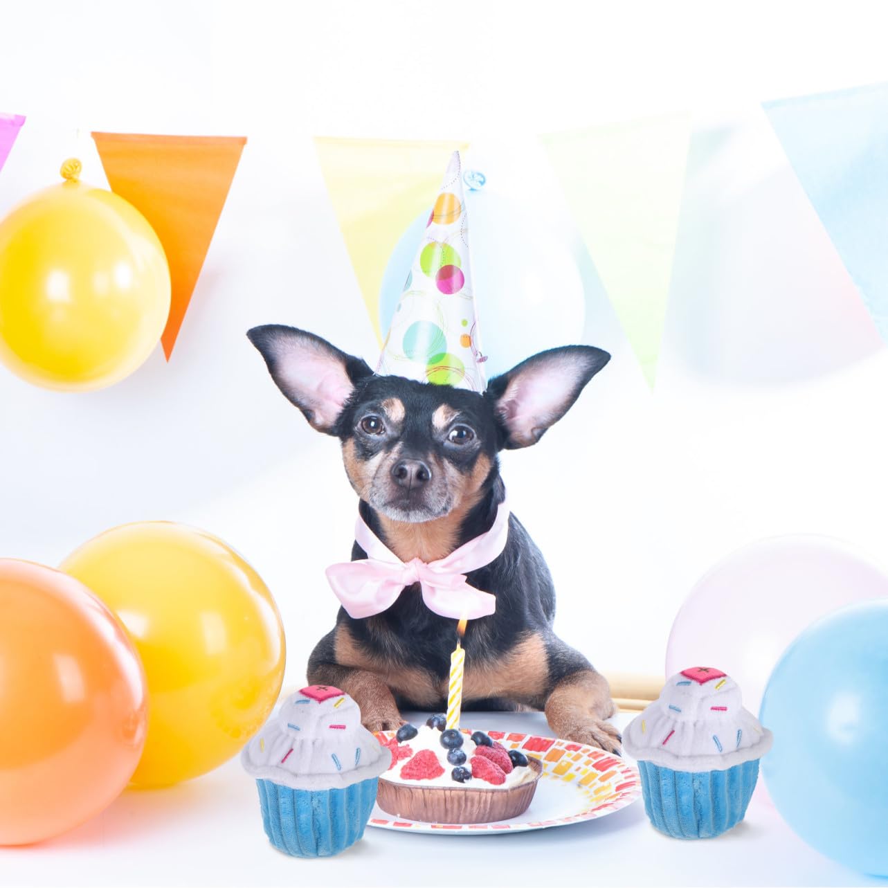 FRCOLOR 5 Pezzi Di Peluche Giocattoli Per Cani Con Cigolio Giocattoli Interattivi in ​​peluche Per Cuccioli Molari Pulizia Dolcetti Ciucci in Peluche Da Masticare Divertimento Compleanno