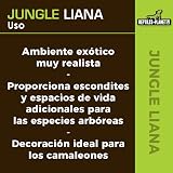 Ver la foto 6