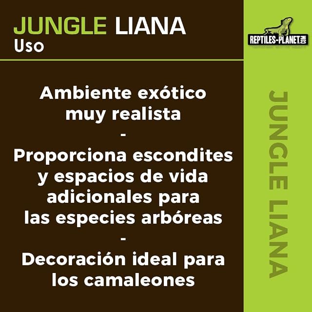 Foto 6 de 7 de Reptiles-Planet Jungle Liana Artificial Vine Terrarium Decoration
