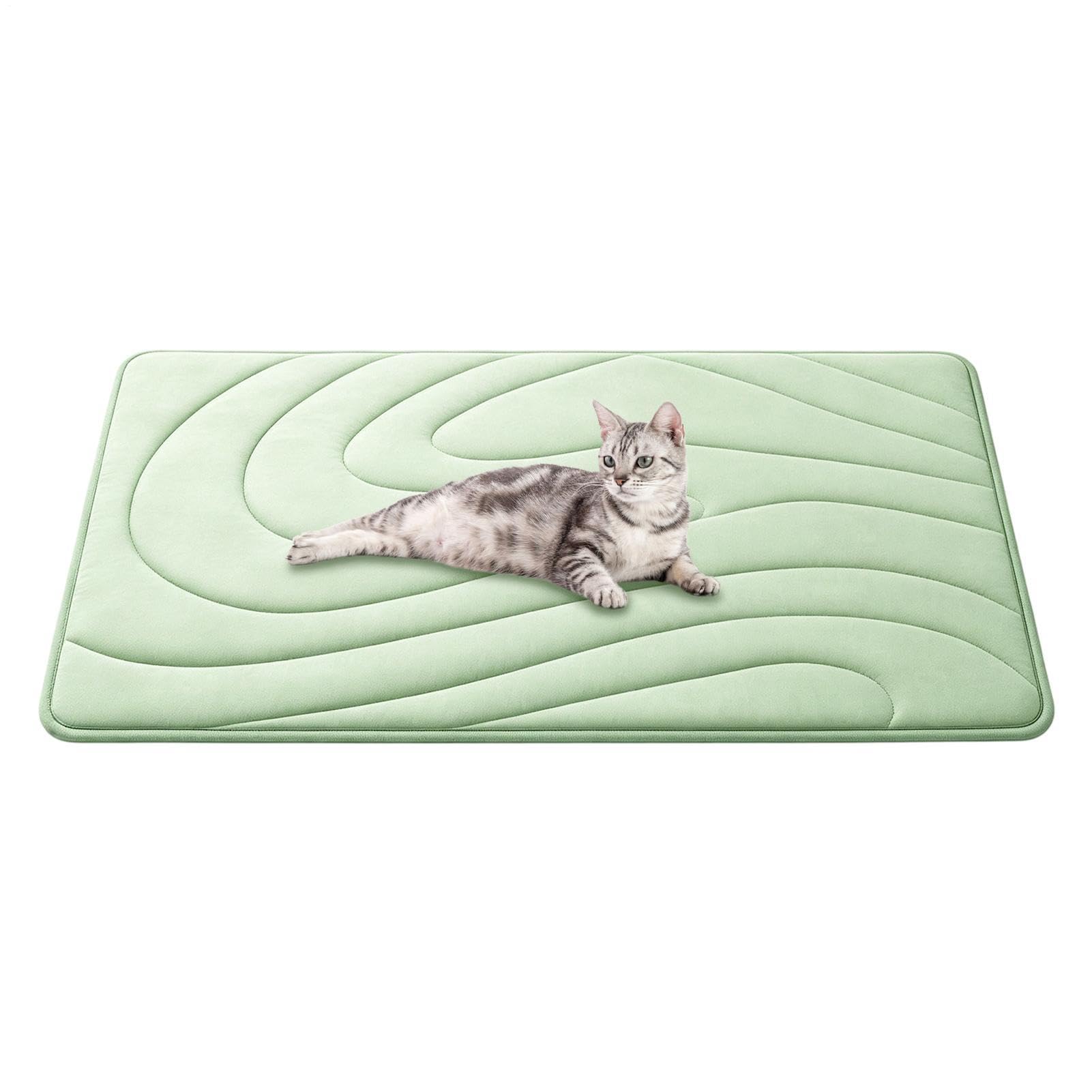 Tapis rafraîchissant pour chien idéal en voiture et camping pendant l'été