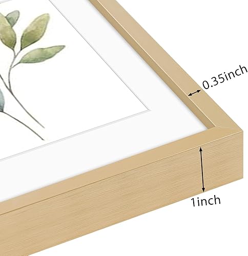 Vista 91 de Golden State Art - Marco de fotos de aluminio satinado clásico de 8 x 10 con alfombrilla de color marfil para fotos de 5 x 7 y cristal real, Dorado