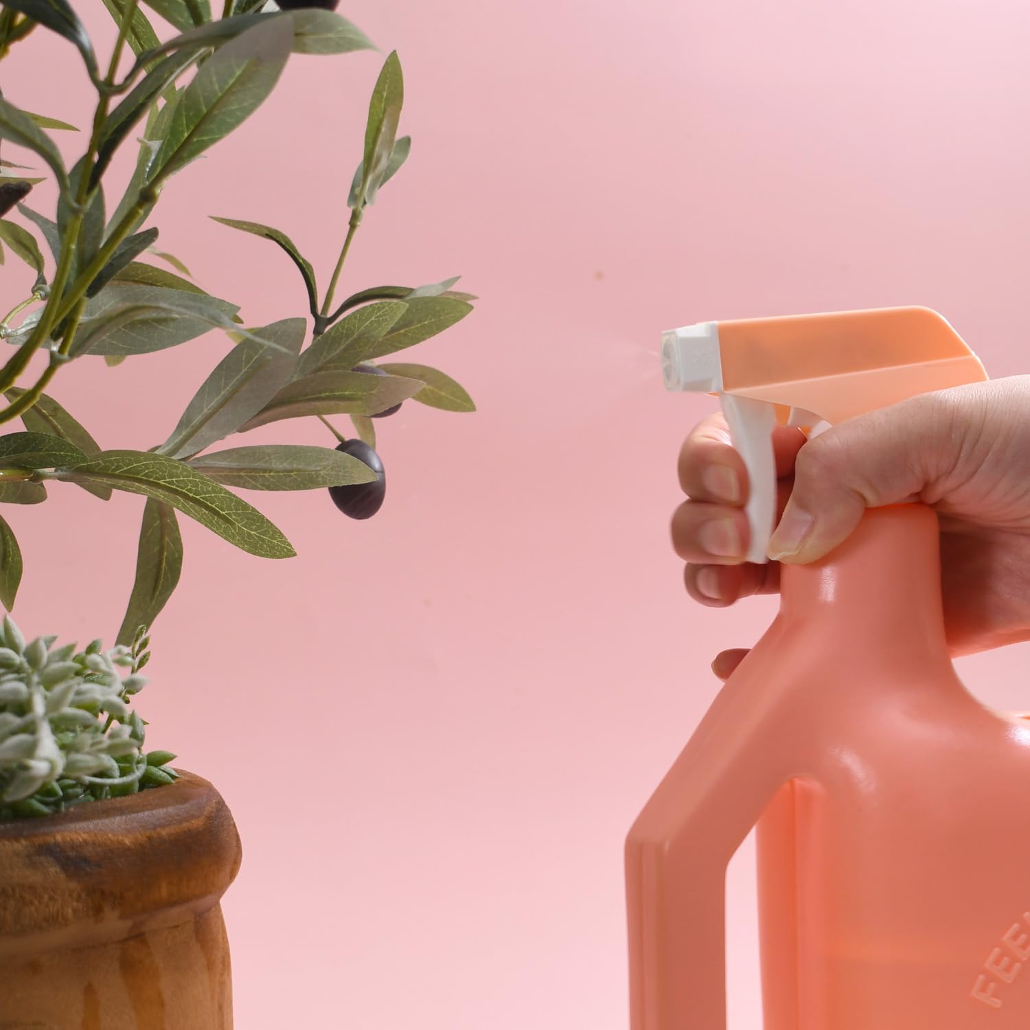 PETAL & FLOW Arrosoir 2 en 1 et vaporisateur pour plantes d'intérieur et d'extérieur, 1,6 l (rose abricot)