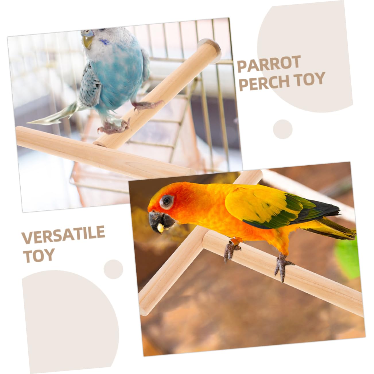 HANABASS 10pièces pour Oiseaux Perchoir pour Perruches Et Perroquets Accessoires pour Oiseaux De Cage Jouet pour