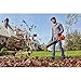 BLACK + DECKER Electric Leaf Blower, Hand Held Blowers for Lawn Care, Up to 450 CFM and 140 MPH Power, Axial, Lightweight, Corded (BEBL750)