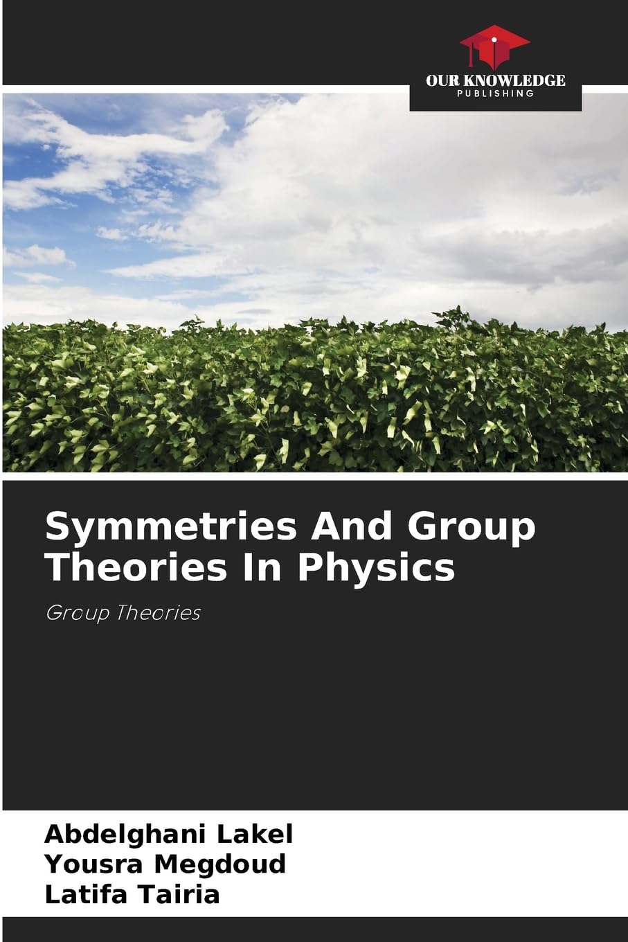 Symmetries And Group Theories In Physics: Group Theories