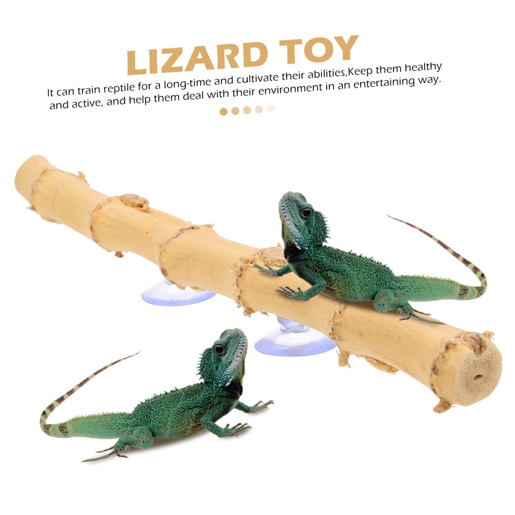 Mipcase 4piezas Soporte Decorativo para Terrarios De Dragón Barbudo Juguete De Escalada De Madera Ventosa para Reptiles Accesorio para Crear Un Saludable y Divertido
