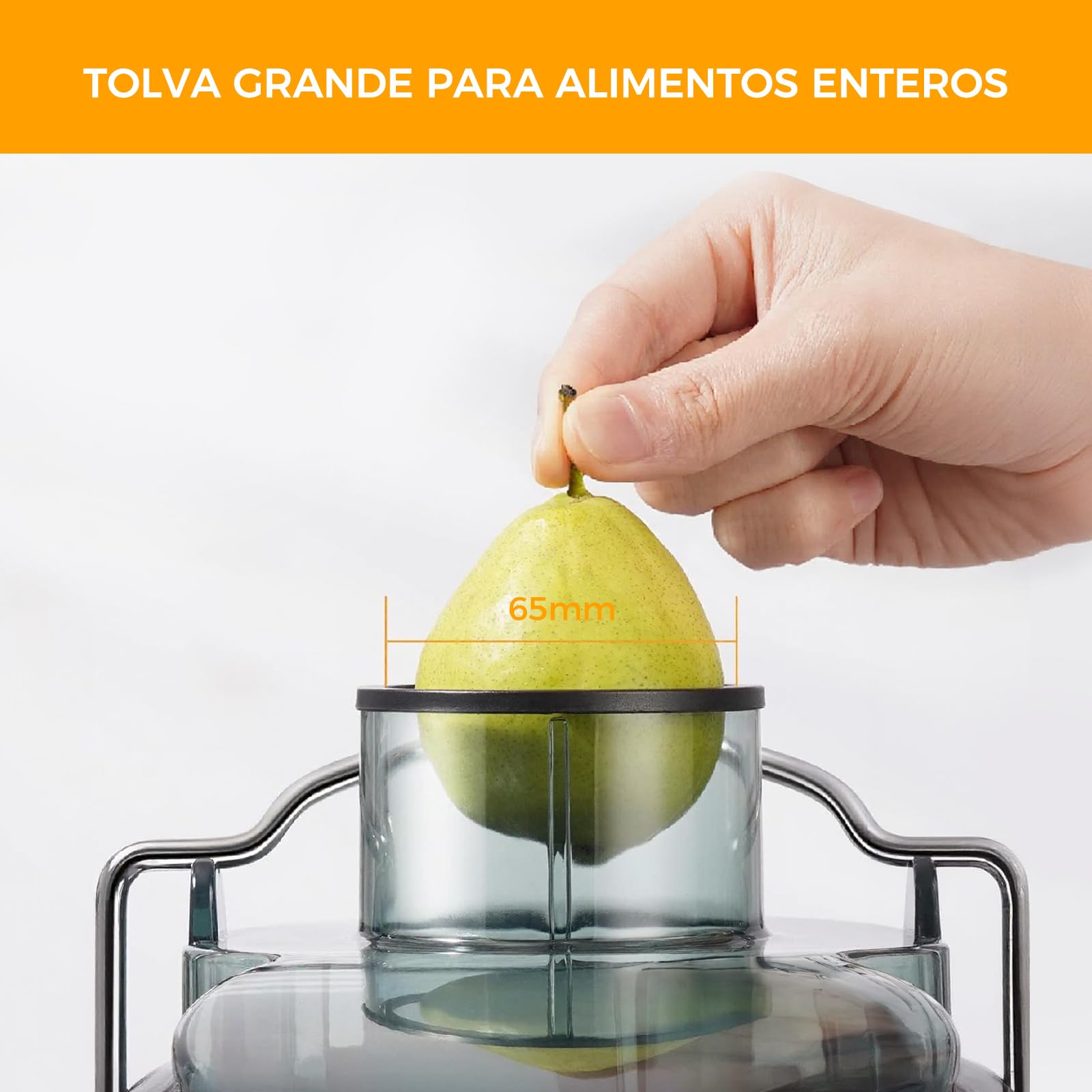 WOOX Exprimidor de Zumos, Exprimidor Eléctrico Silencioso para Verduras y Frutas de Acero Inoxidable, Recipiente de 500 ml, Negro/Acero