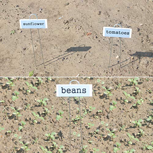 Amatory Garden Markers Signs Plant Labels Tags Metal Gardening Planting Seedling Nursery Reusable Waterproof 18 PCS and Self-Adhesive Labels 36 PCS (White-10.7")