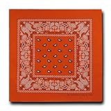 Kaiser Collection Double Sided Paisley Bandanas (1 Dozen), Orange