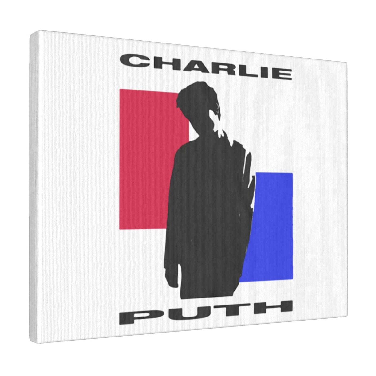 Amazon.co.jp: ポスター Charlie Puth チャーリー・プース 絵画 防水