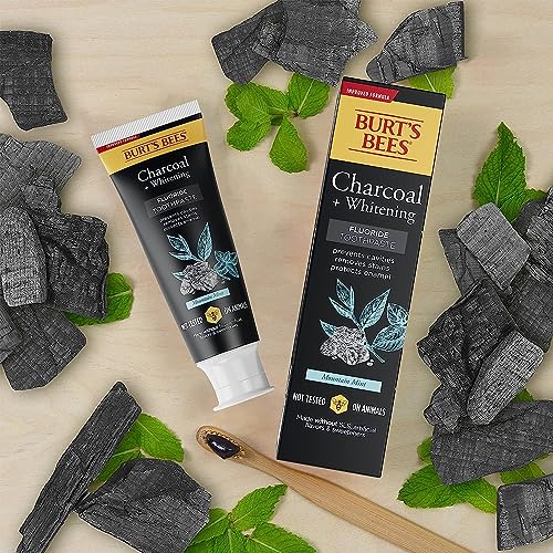 Burt'S Bees 80705915 Toothpaste, Natural Flavor, Charcoal thumb #4