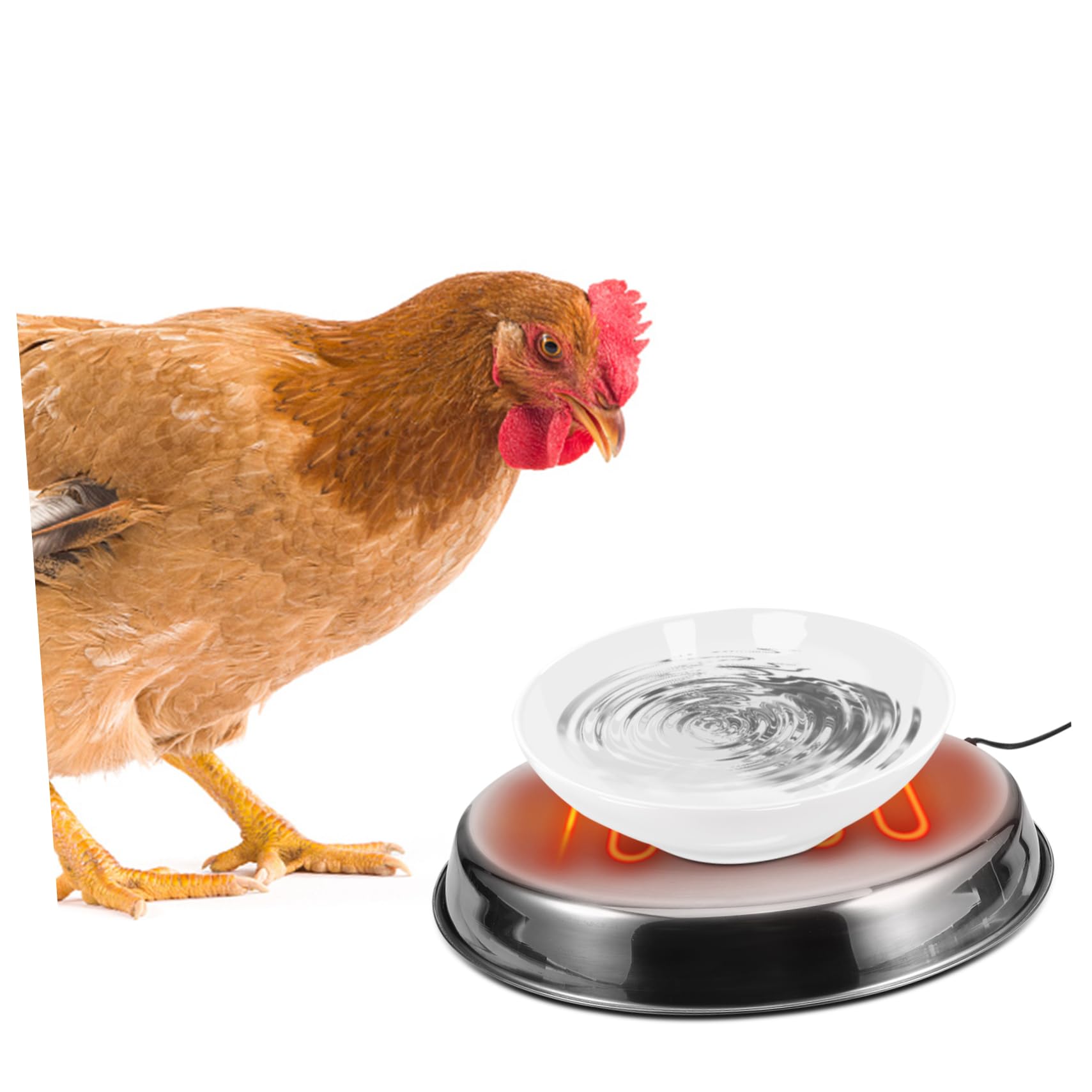 Base Calefactora para Bebedero de Aves de Corral en Invierno Acero Inoxidable y Calor Constante para Patos y Pollos Eu Plug 220-240v