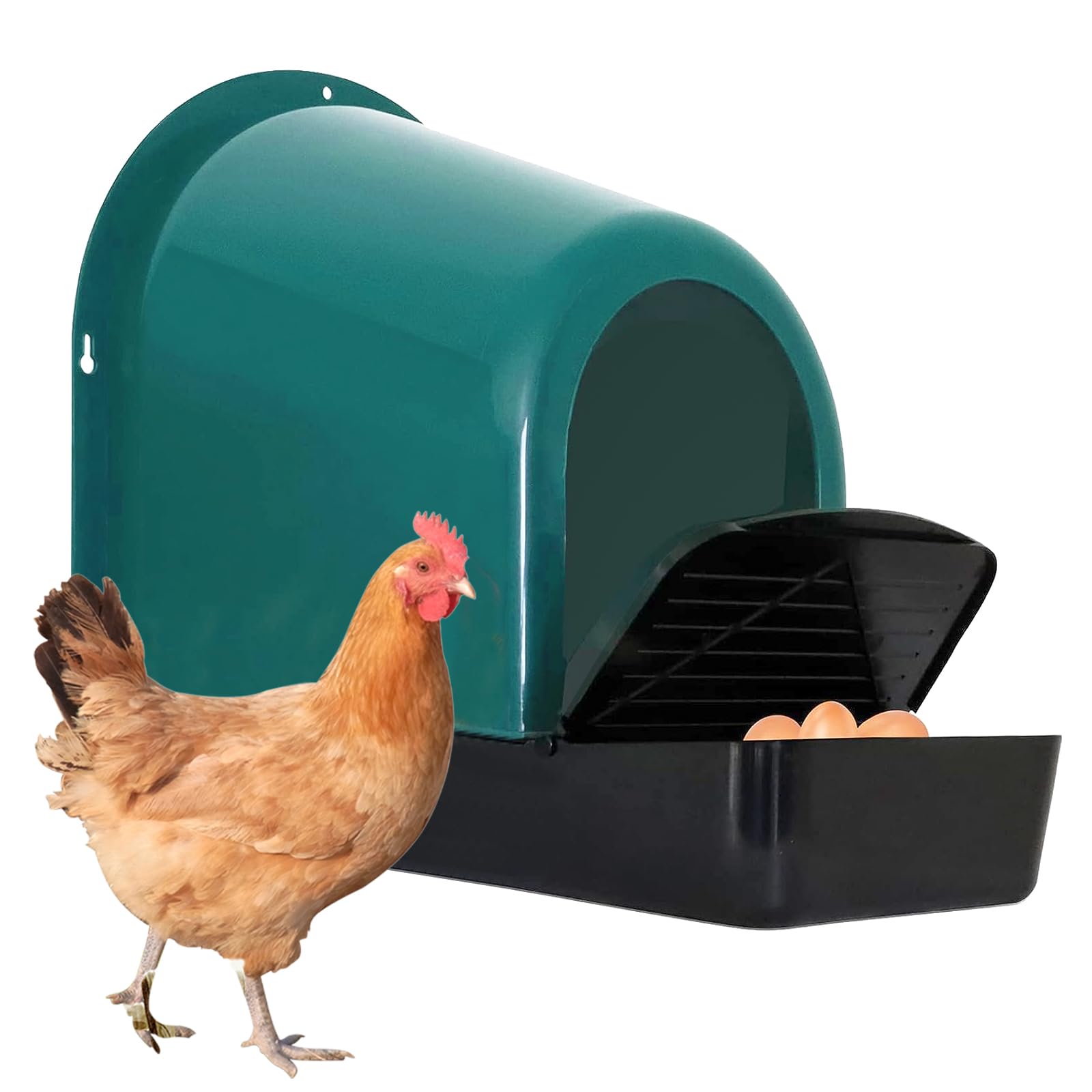 Buy 5 Pack Chicken Nesting Box Nesting Boxes for Chicken Coop