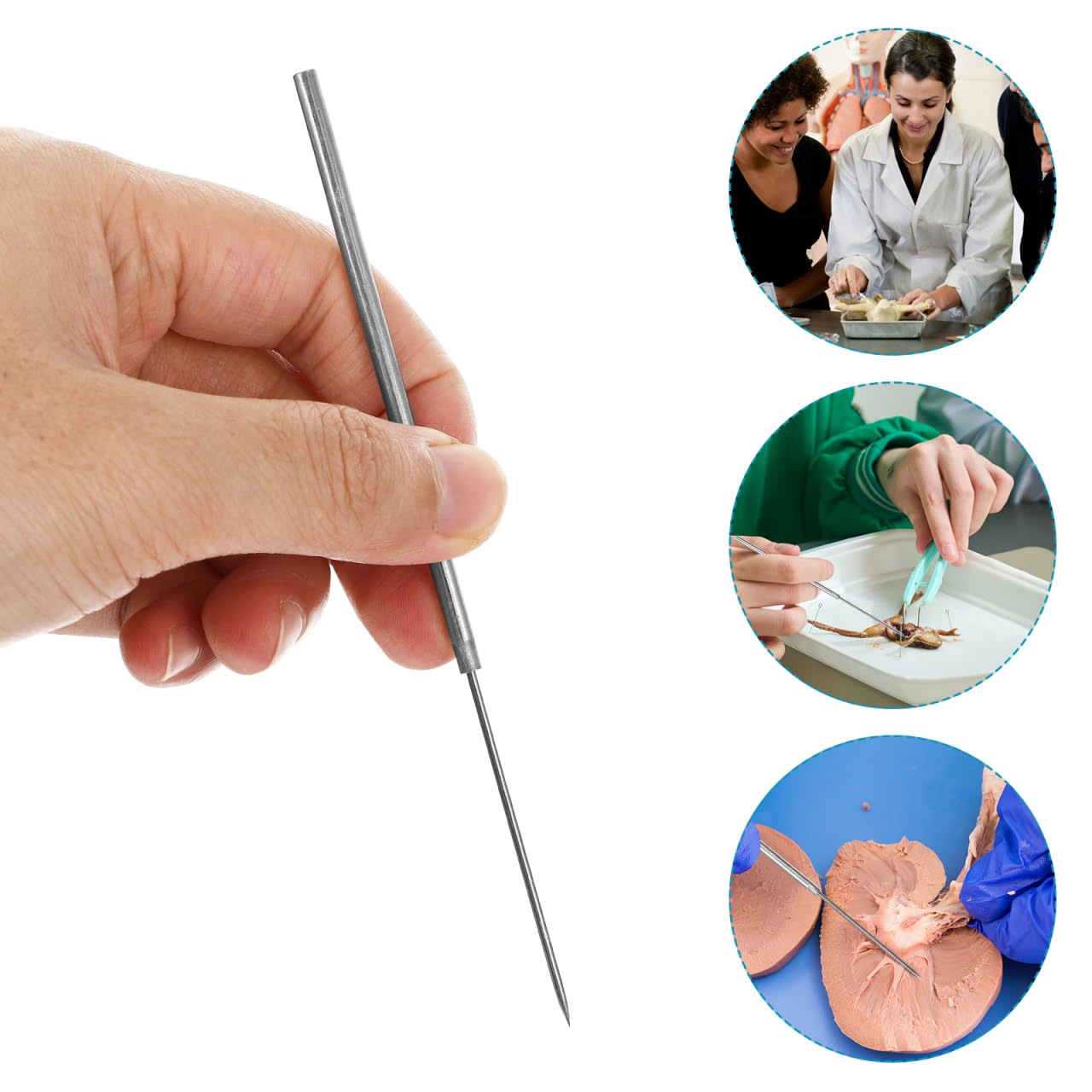 iplusmile 14 pcs Stainless Steel Single Ended Micro Straight Dissecting Needle, Lab Precision Dissecting Needle Tool for Lab Experiment Equipment — Amazon image 2
