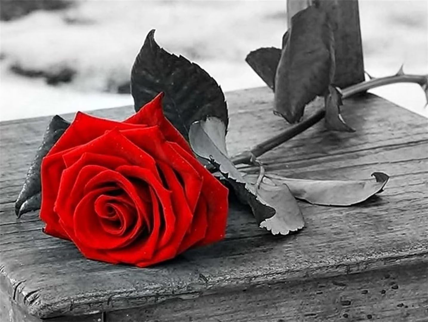 Diamond Painting 5D Rose Rouge 60x80cm - Kit Complet Broderie Diamant