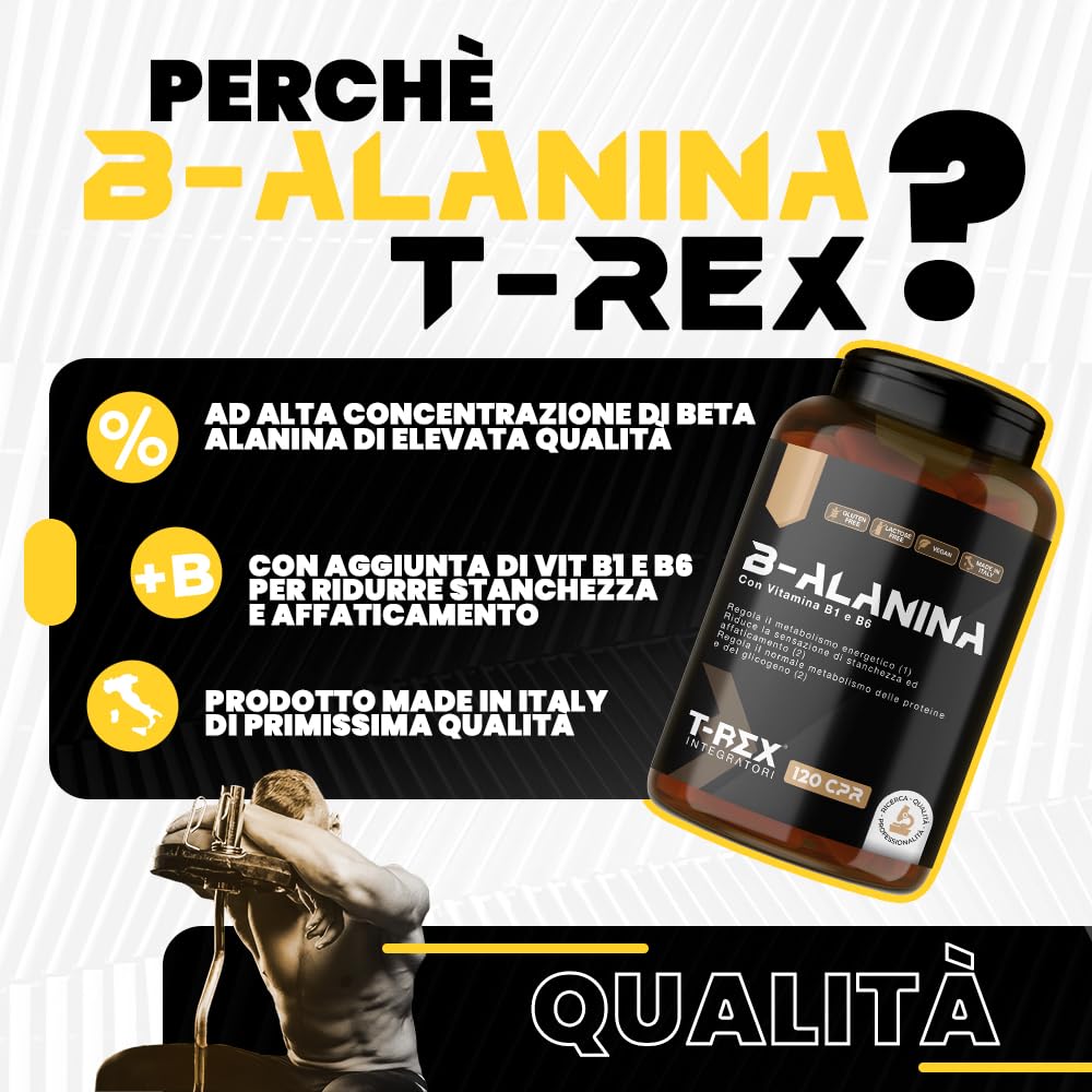 Beta Alanina 240 compresse da 1000mg | Integratore alimentare a base di B-Alanina con Vitamina B1, B6 ed E. Potente post workout per recupero muscolare T-Rex Integratori (120 Unità (Confezione da 2))
