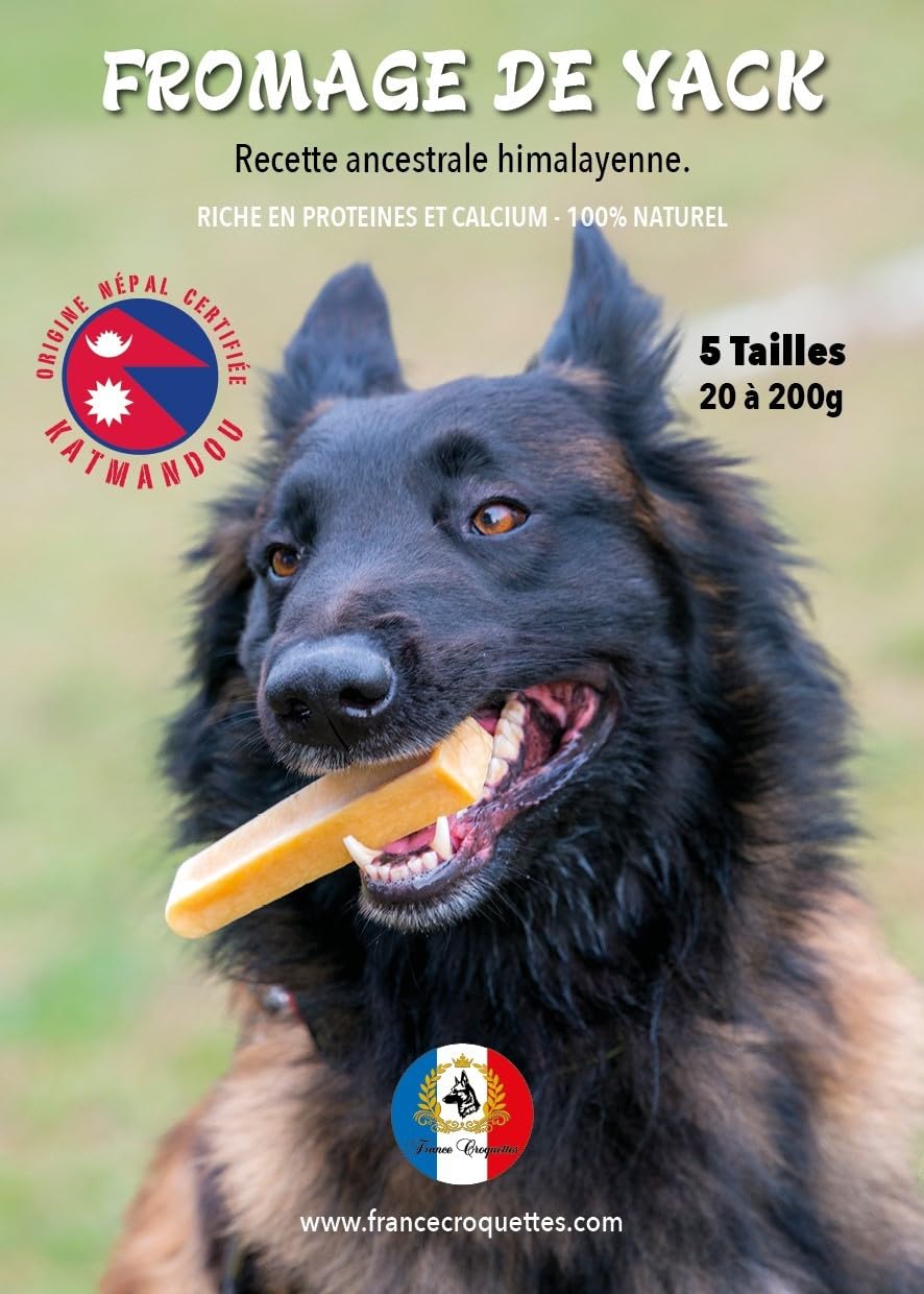 Fromage de Yak L 100g-120g pour Chien Moins de 20kg – friandise 100% Naturelle à mâcher – fabriqué au népal – Riche en protéines – hygiène bucco-Dentaire – Longue durée – France croquettes