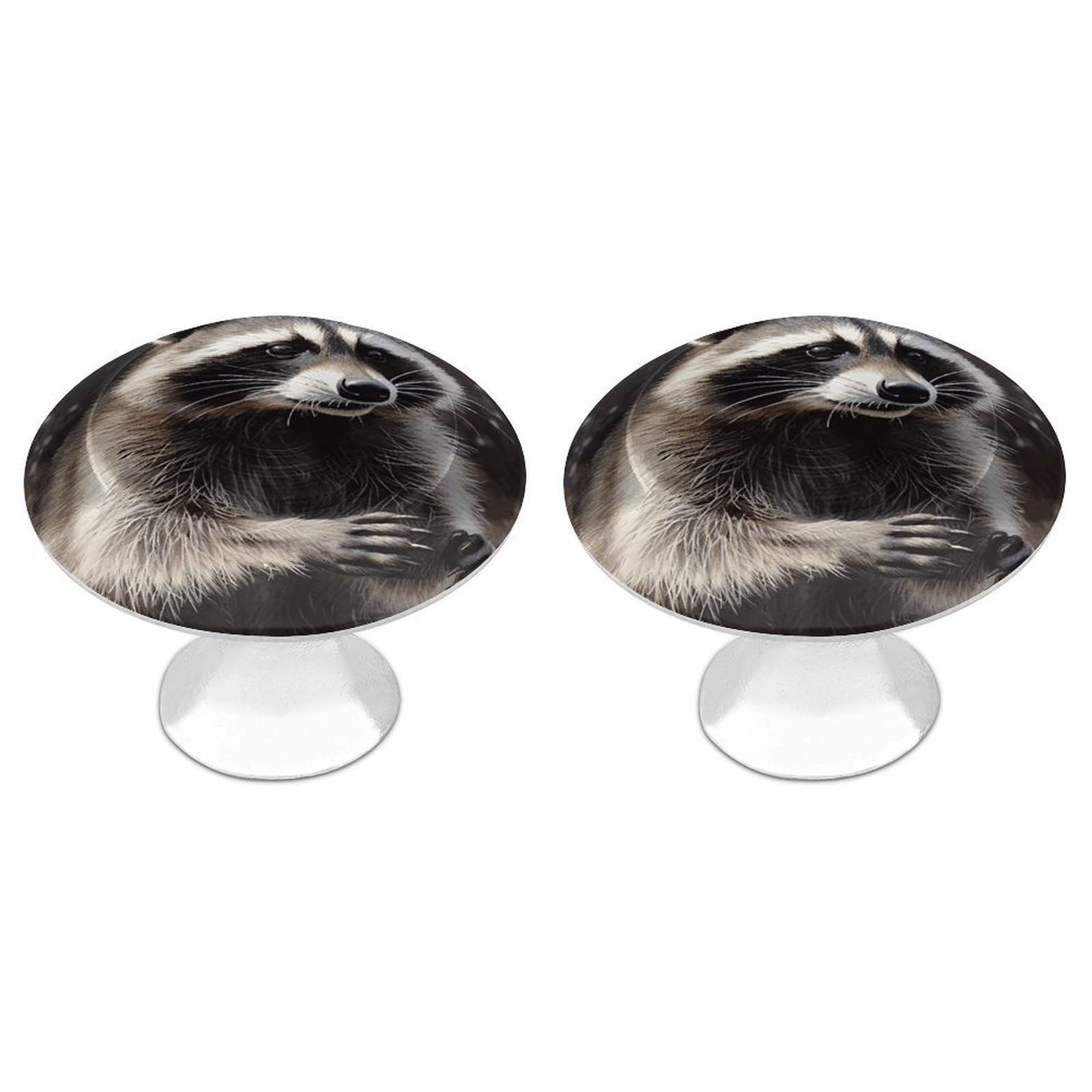 FekiLoot Raccoon Cabinet Knob 2 Pack Mini Round Drawer Pulls Stainless Steel Dresser Drawer Knobs Kitchen Drawer Hardware for Bathroom Dresser Closet Door Knobs