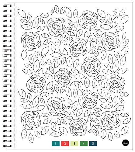 Snapklik.com : Brain Games - Easy Color By Number: Large Print Patterns