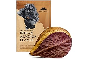 Premium Indian Almond Leaves for Axolotl Care