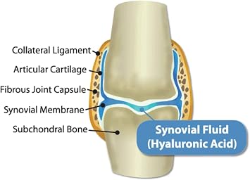 Hyalogic HyaFlex Pro Pure (8 fl oz) - Canine Hyaluronic Acid & Zinc Dog Supplement - Joint & Immune Dog Health Supplies - Liquid Canine Joint Supplement - Promotes Healthy Cartilage & Flexibility